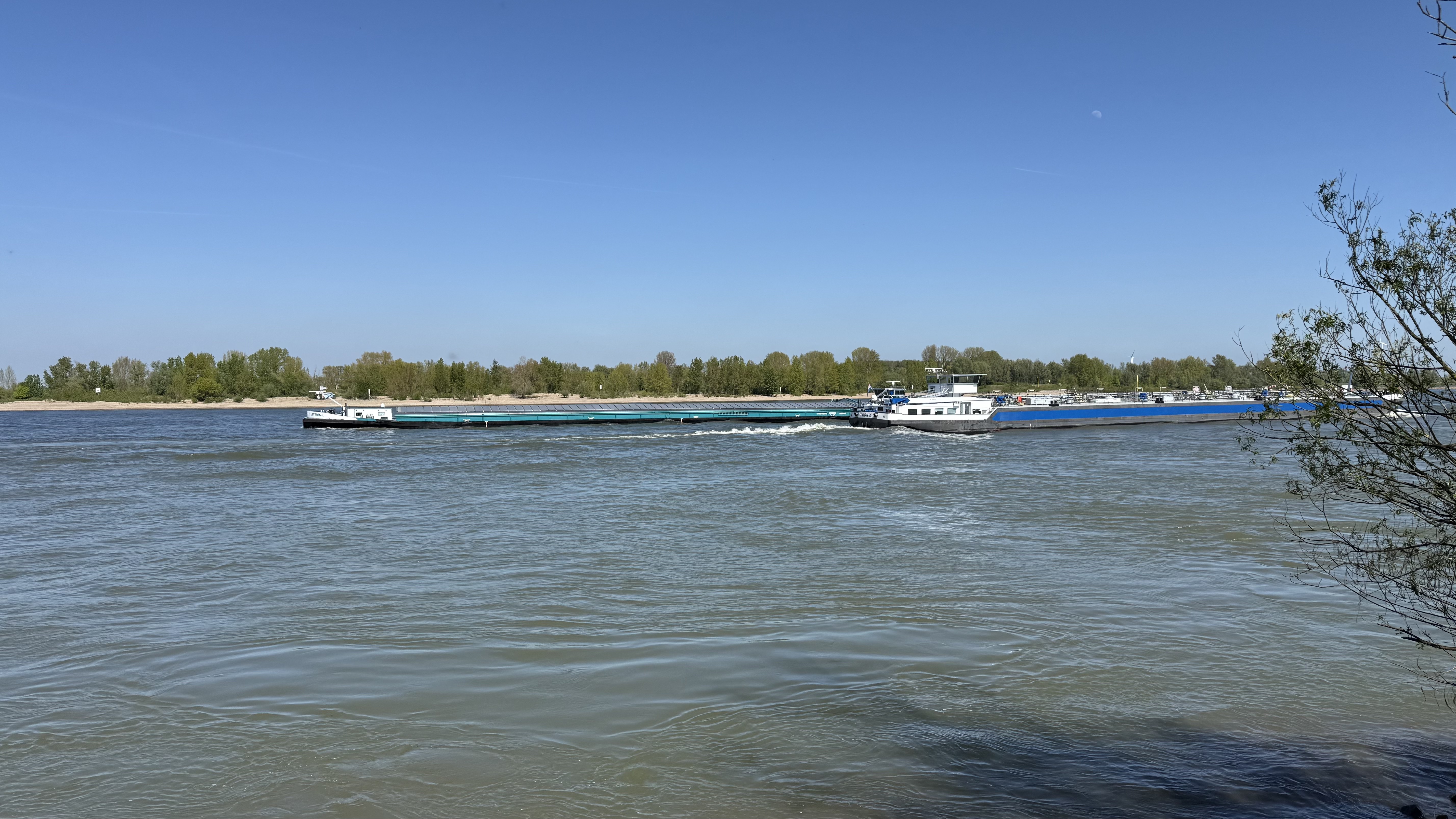Bild 7 – Rhein-Fischschutzzonen Flora and Fauna Reserve
