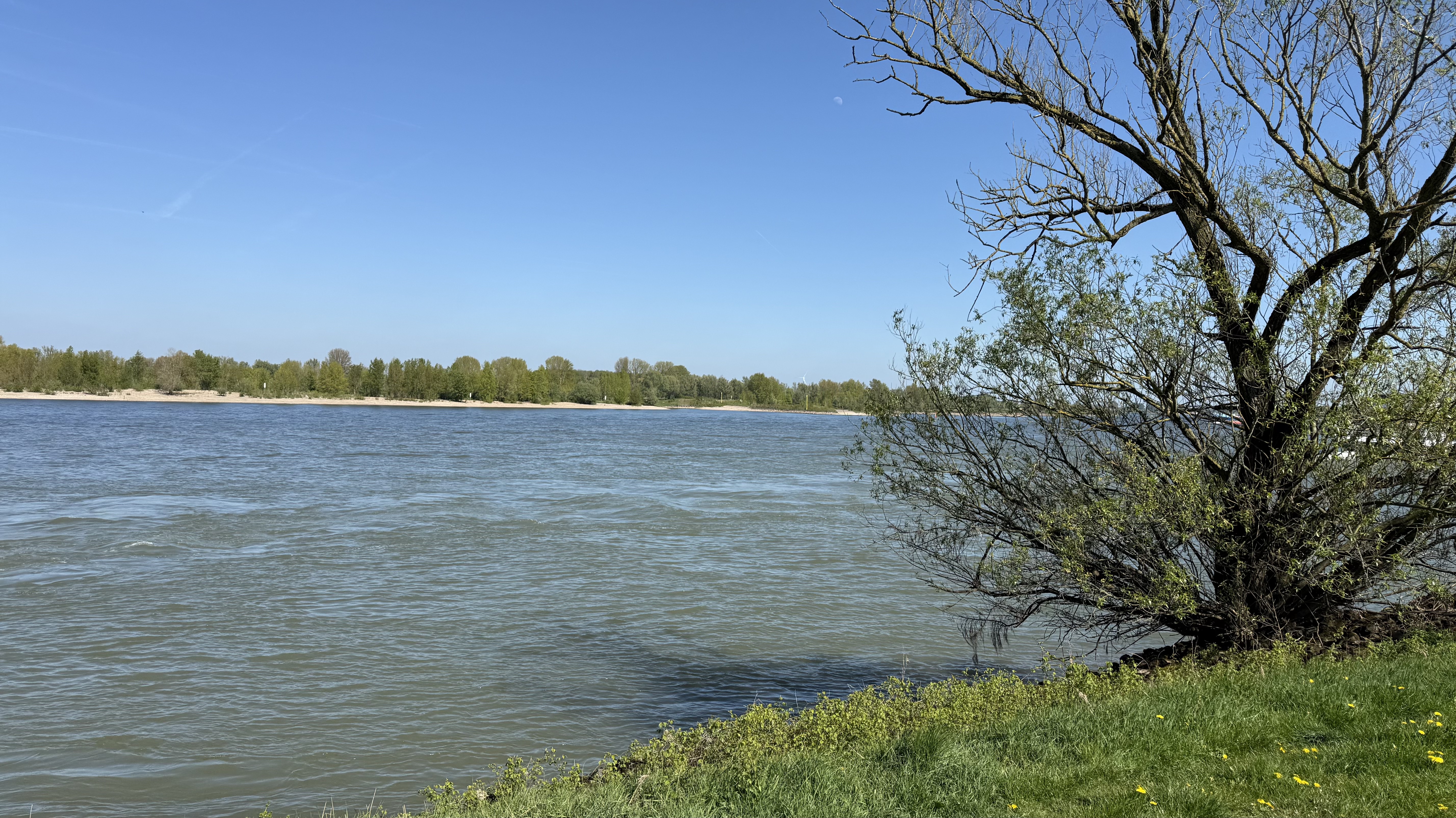 Bild 9 – Rhein-Fischschutzzonen Flora and Fauna Reserve