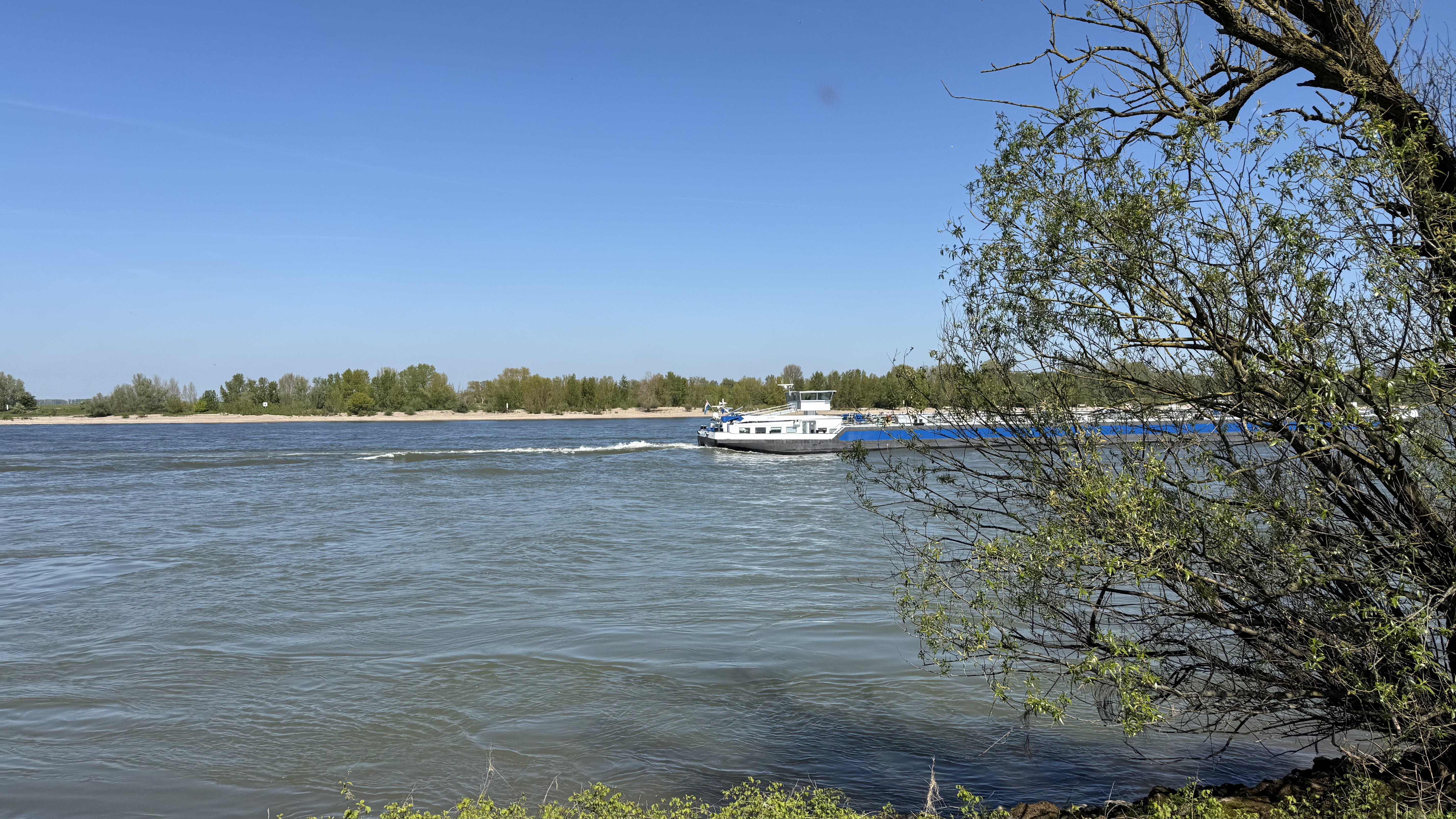 Bild 11 – Rhein-Fischschutzzonen Flora and Fauna Reserve