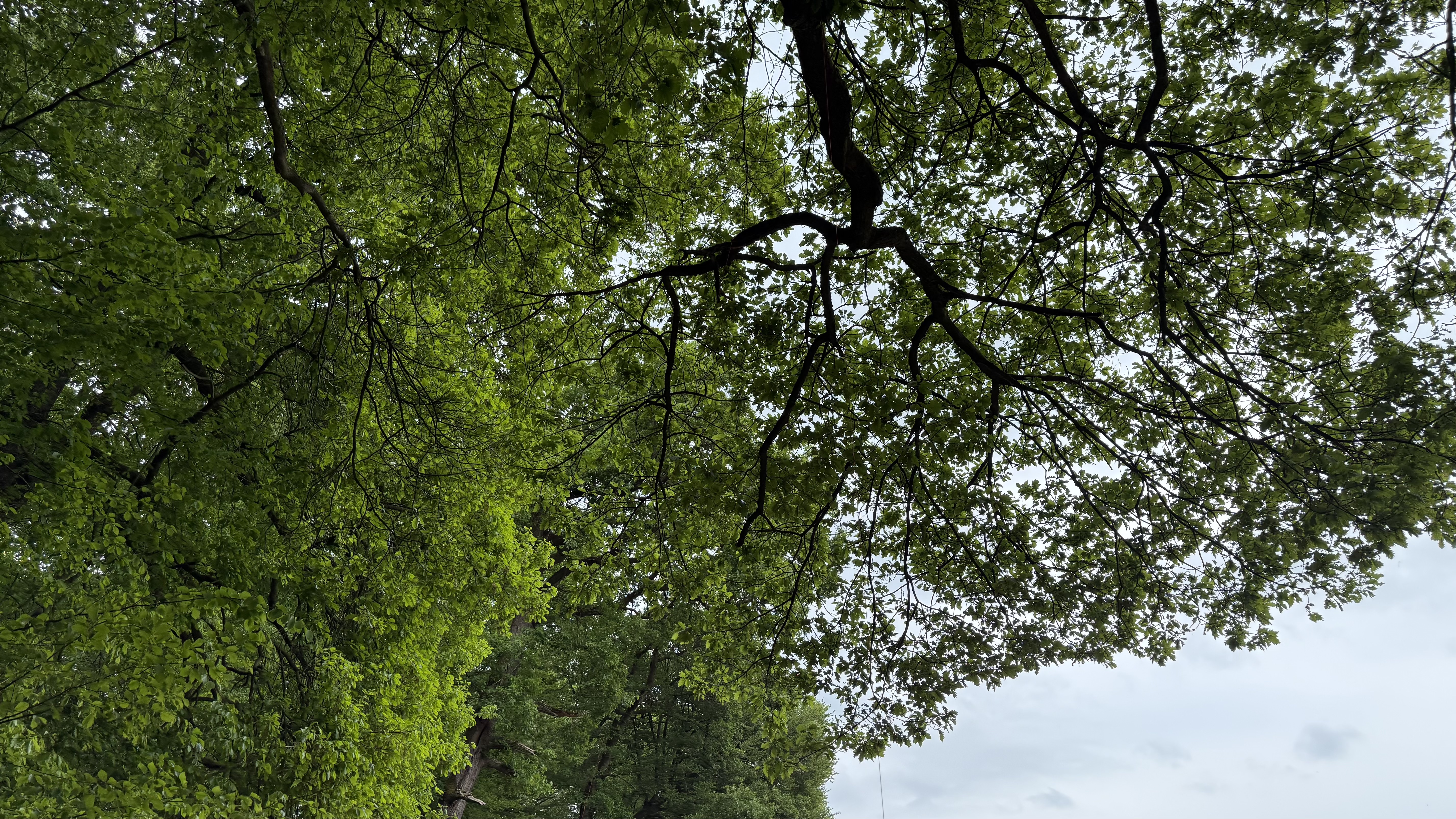 Bild 5 – Aktivierung Tüschenwald - Kurz vor dem Regen