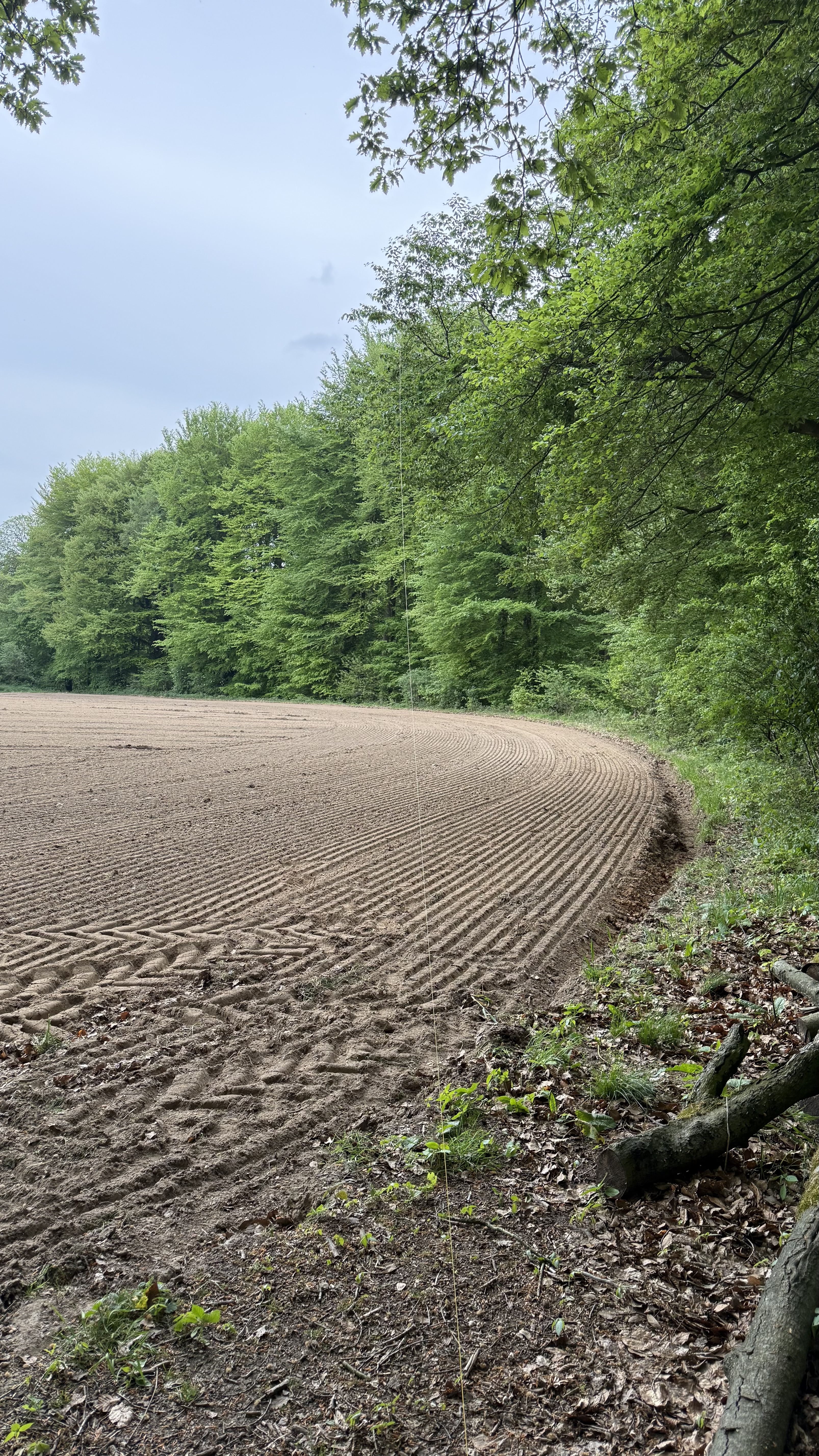 Bild 3 – Aktivierung Tüschenwald - Kurz vor dem Regen