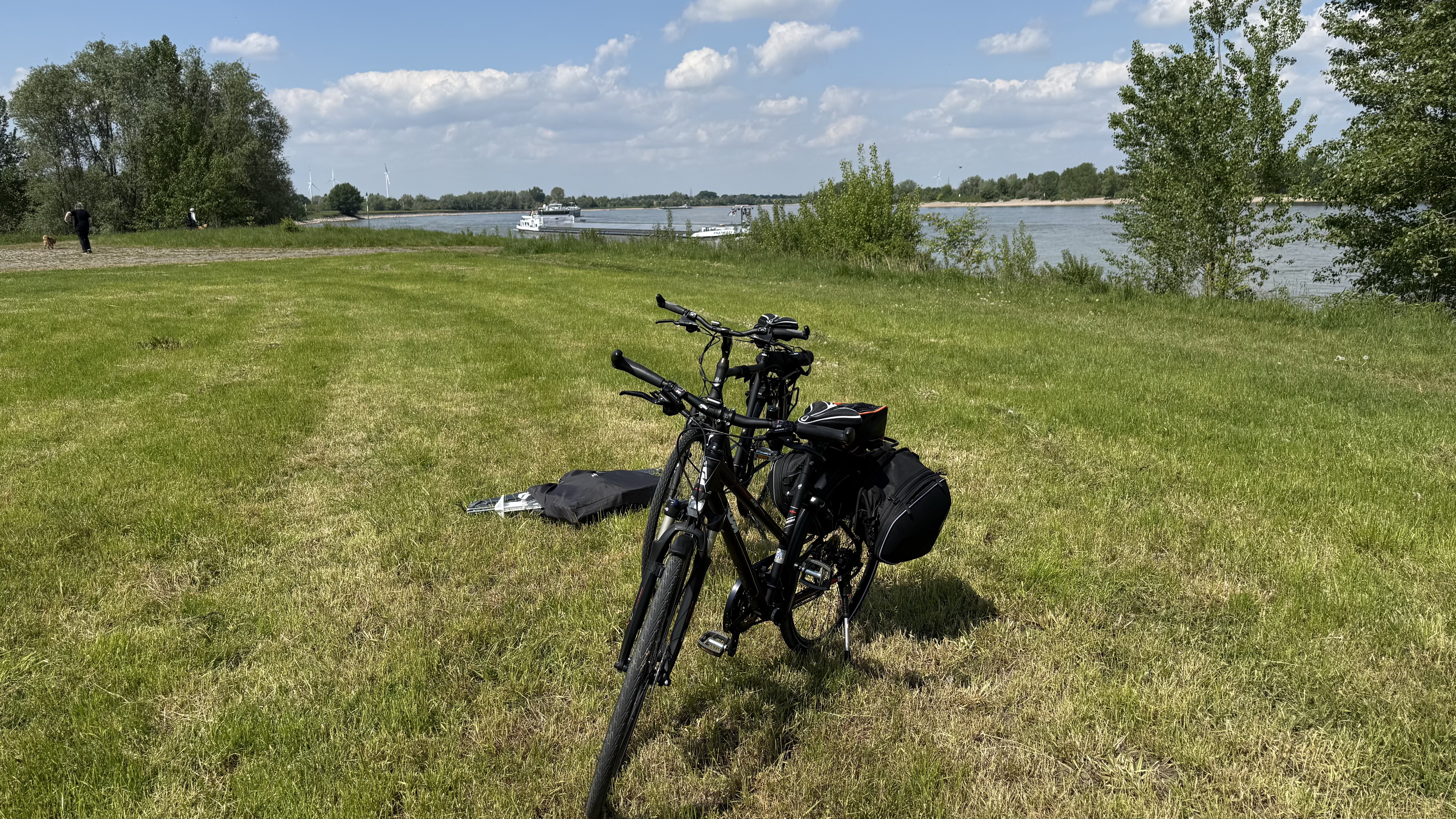Bild 2 – Rhein-Fischschutzzonen Flora and Fauna Reserve - ZS6BKW