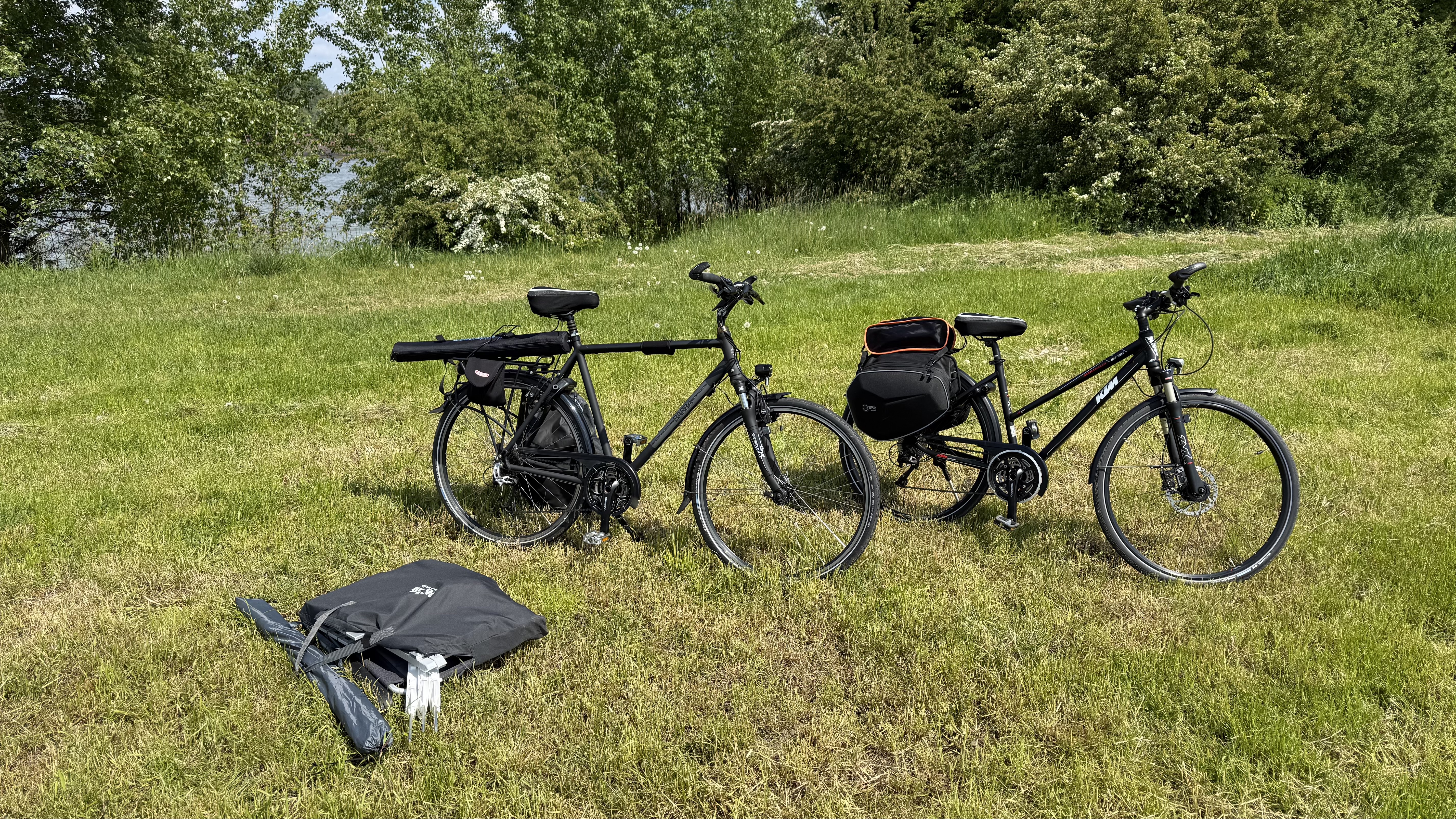 Bild 1 – Rhein-Fischschutzzonen Flora and Fauna Reserve - ZS6BKW