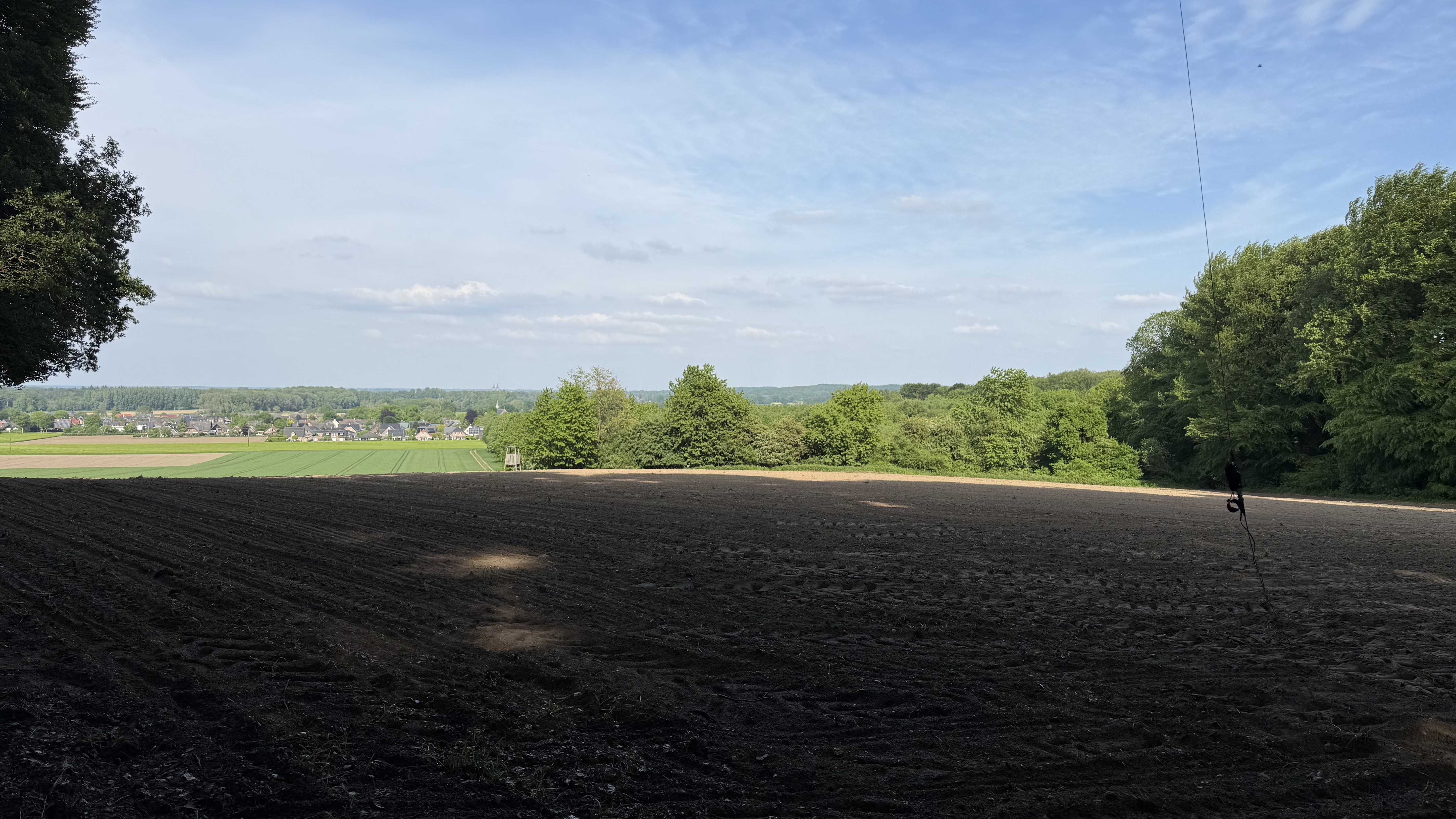 Bild 1 – Muttertag im Tüschenwald