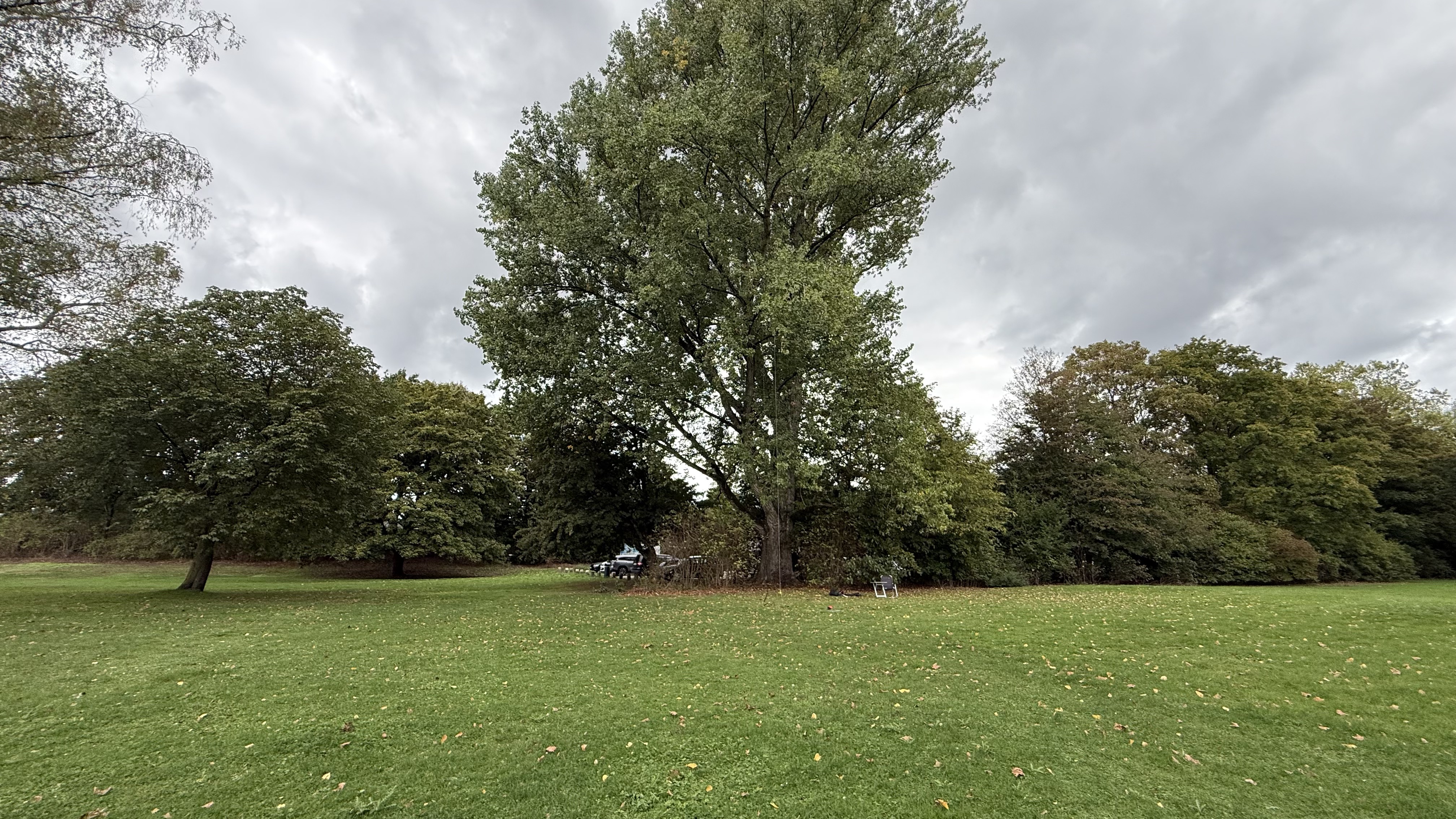 Bild 1 – Schlag auf Schlag im Stadtpark
