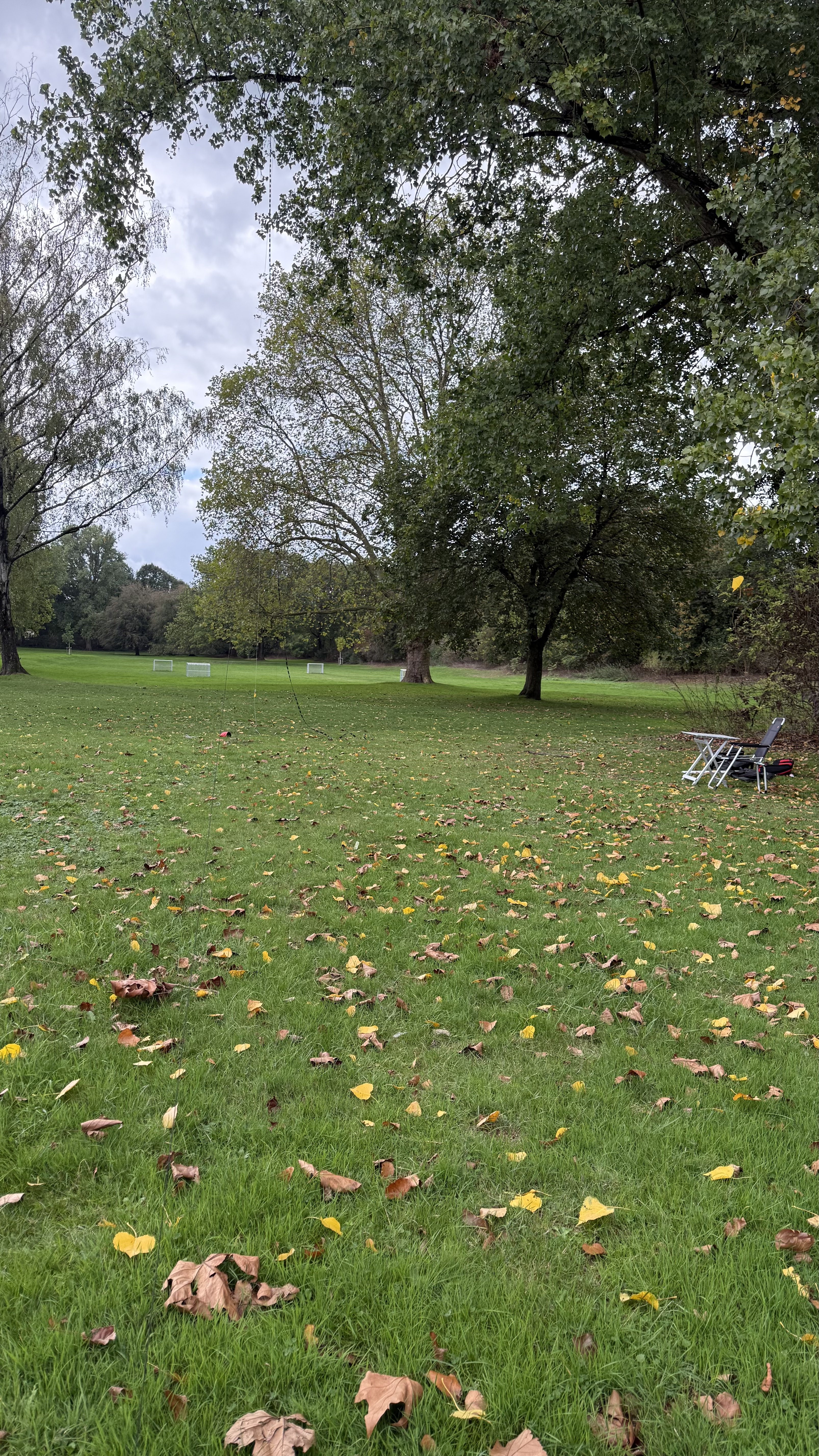 Bild 7 – Schlag auf Schlag im Stadtpark