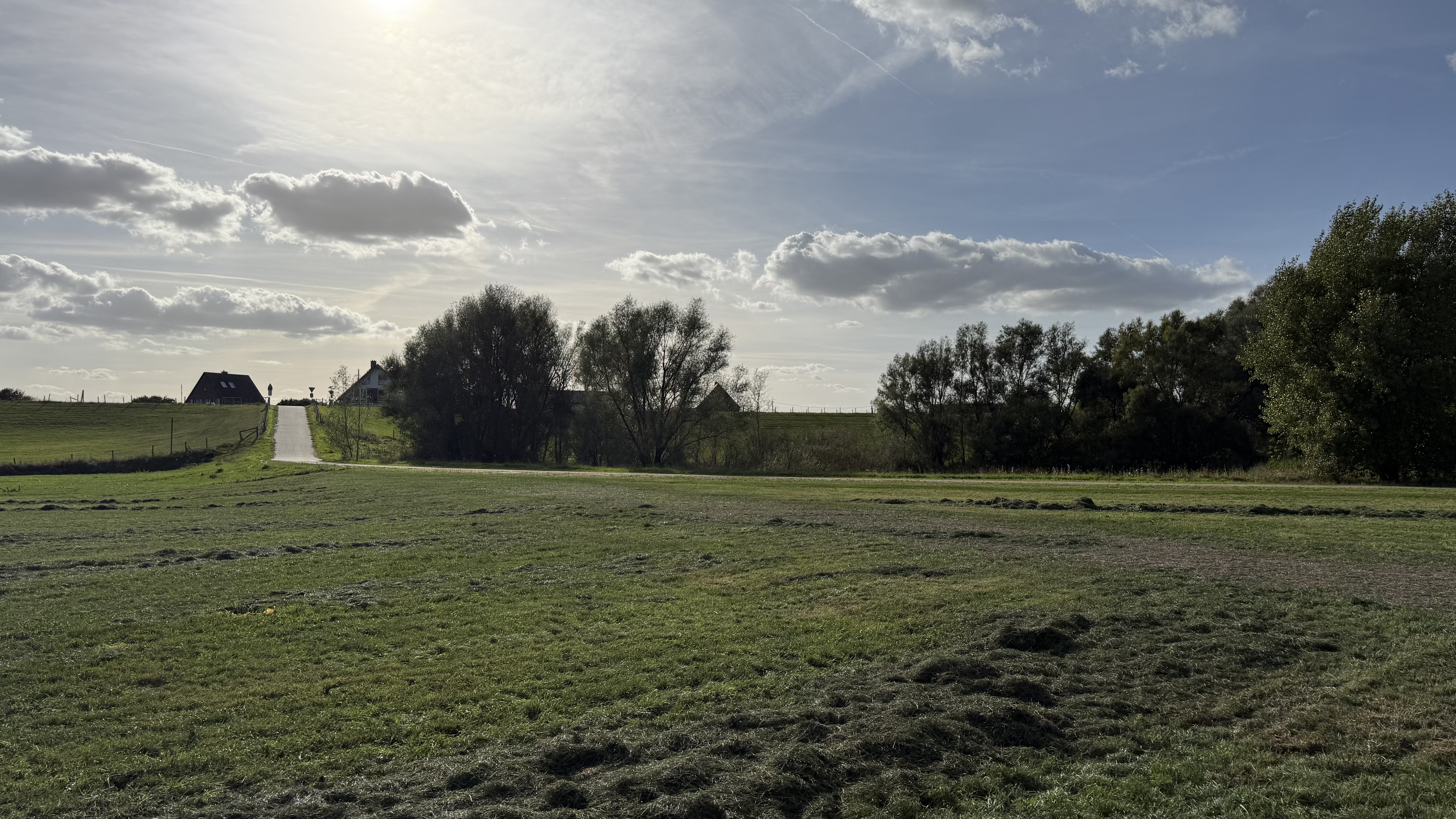 Bild 9 – Abendsonnenaktivierung am Rhein