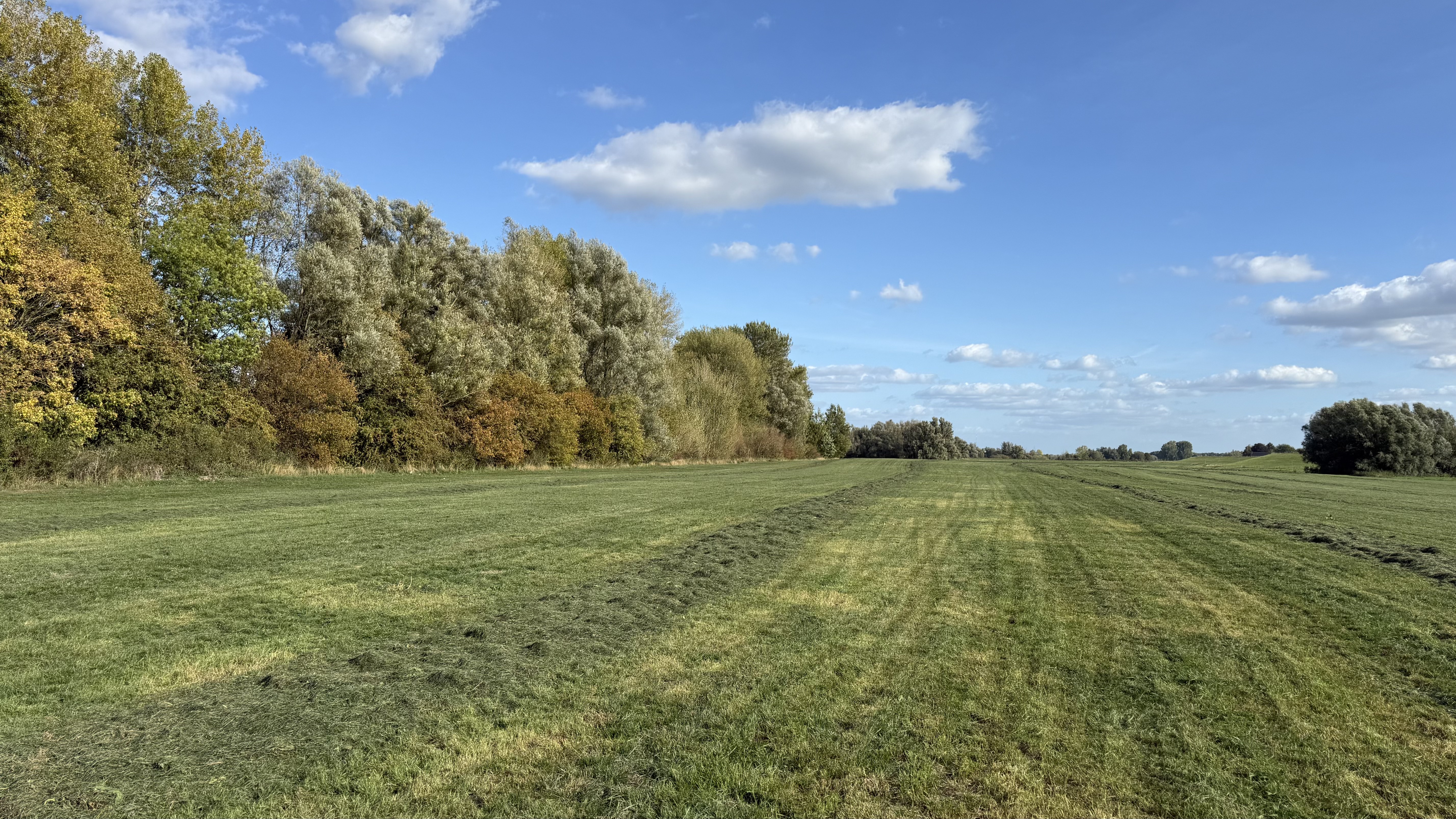 Bild 7 – Abendsonnenaktivierung am Rhein
