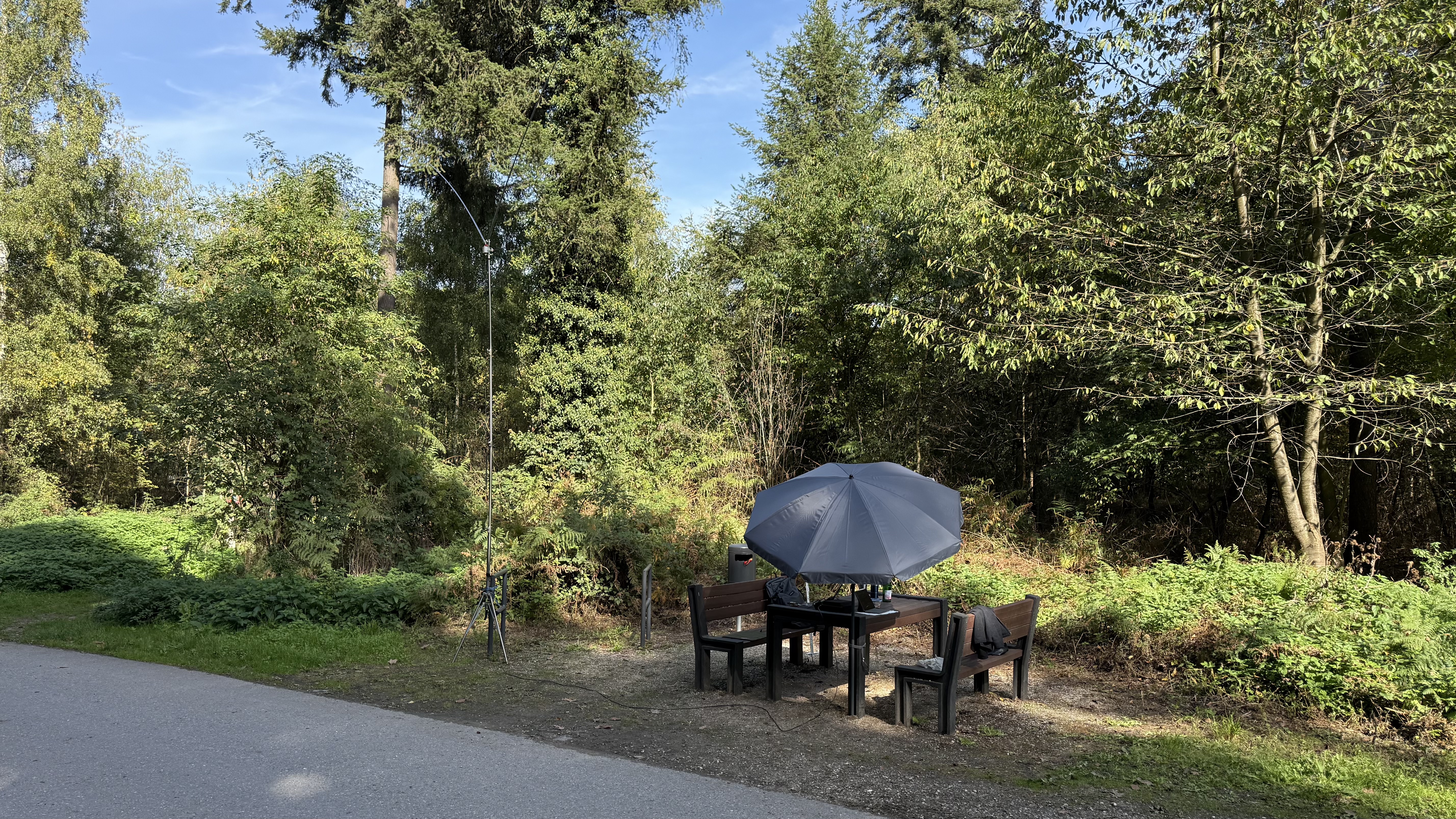 Bild 2 – Pferde, Radfahrer und ein Hundehaufen